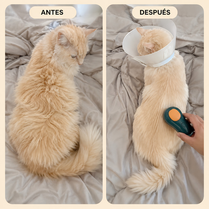 Cepillo para mascotas 3 en 1